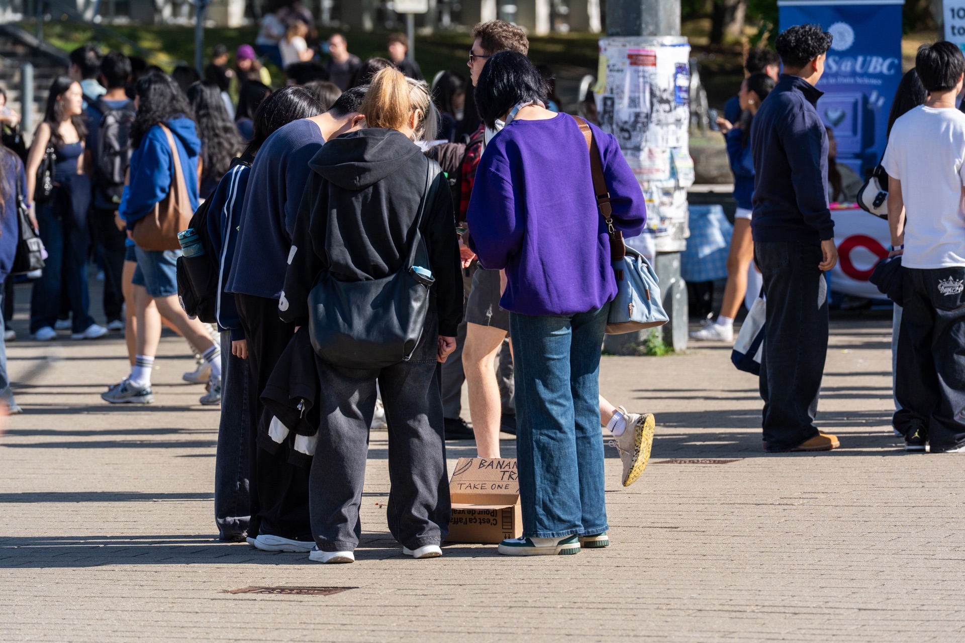 Several people look into the banana box together