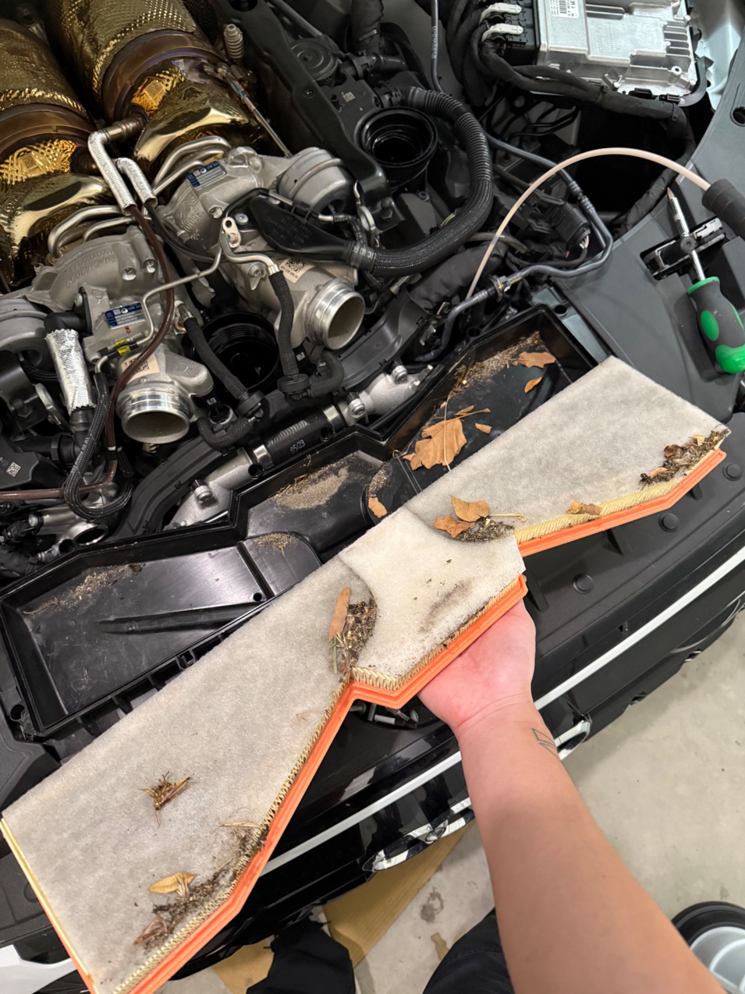 Air filter removed from the RS6 with leaves and debris caught inside